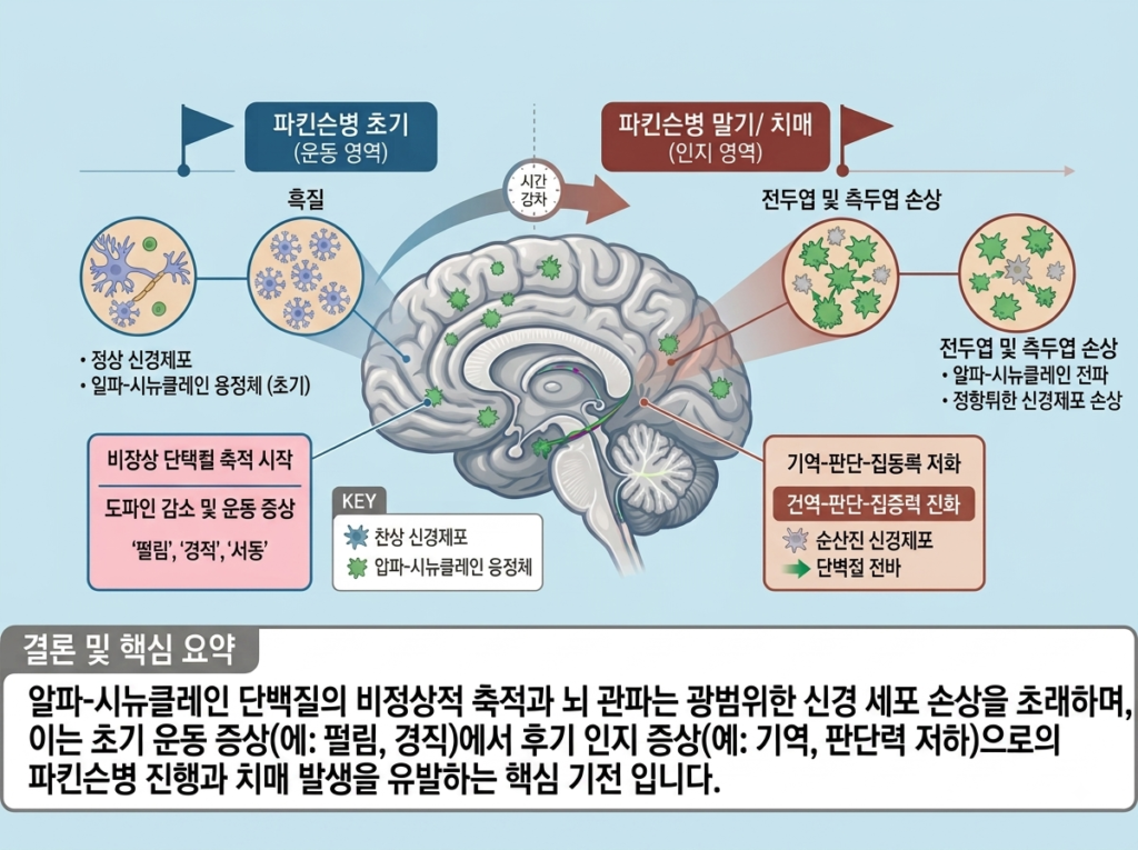 파킨슨병 치매 예방 뇌 건강 습관-2